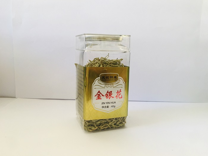 金银花(1).jpg