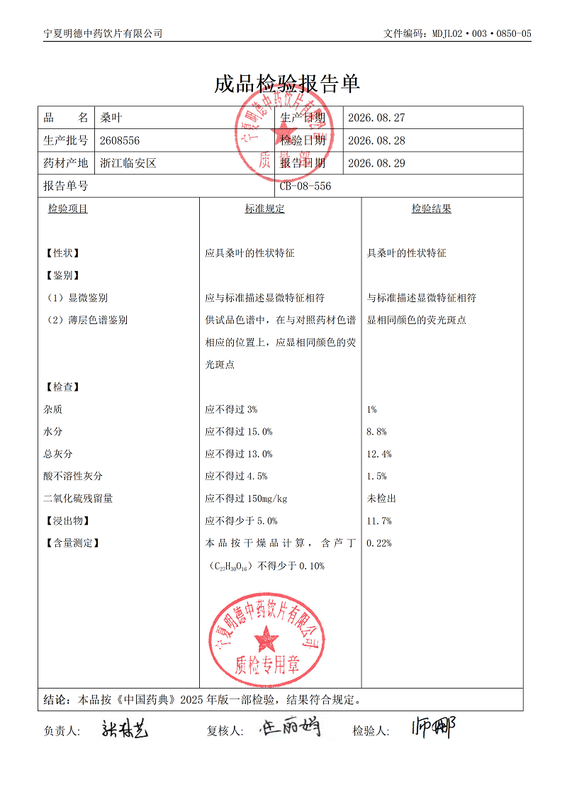 2608556桑叶.png