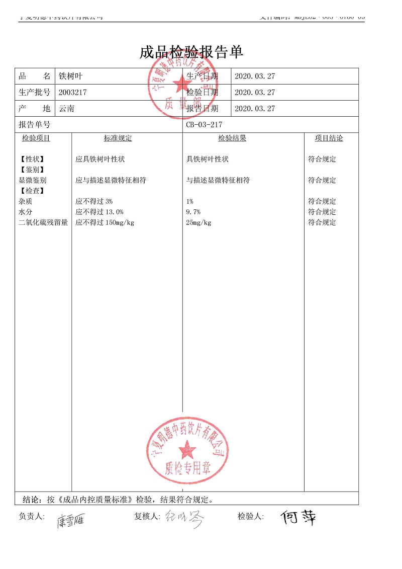2003217铁树叶.jpg