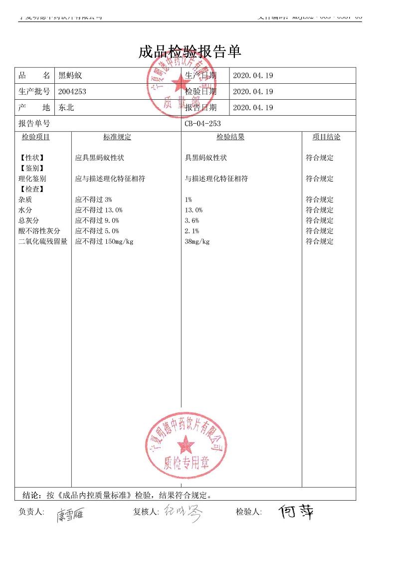 2004253黑蚂蚁.jpg