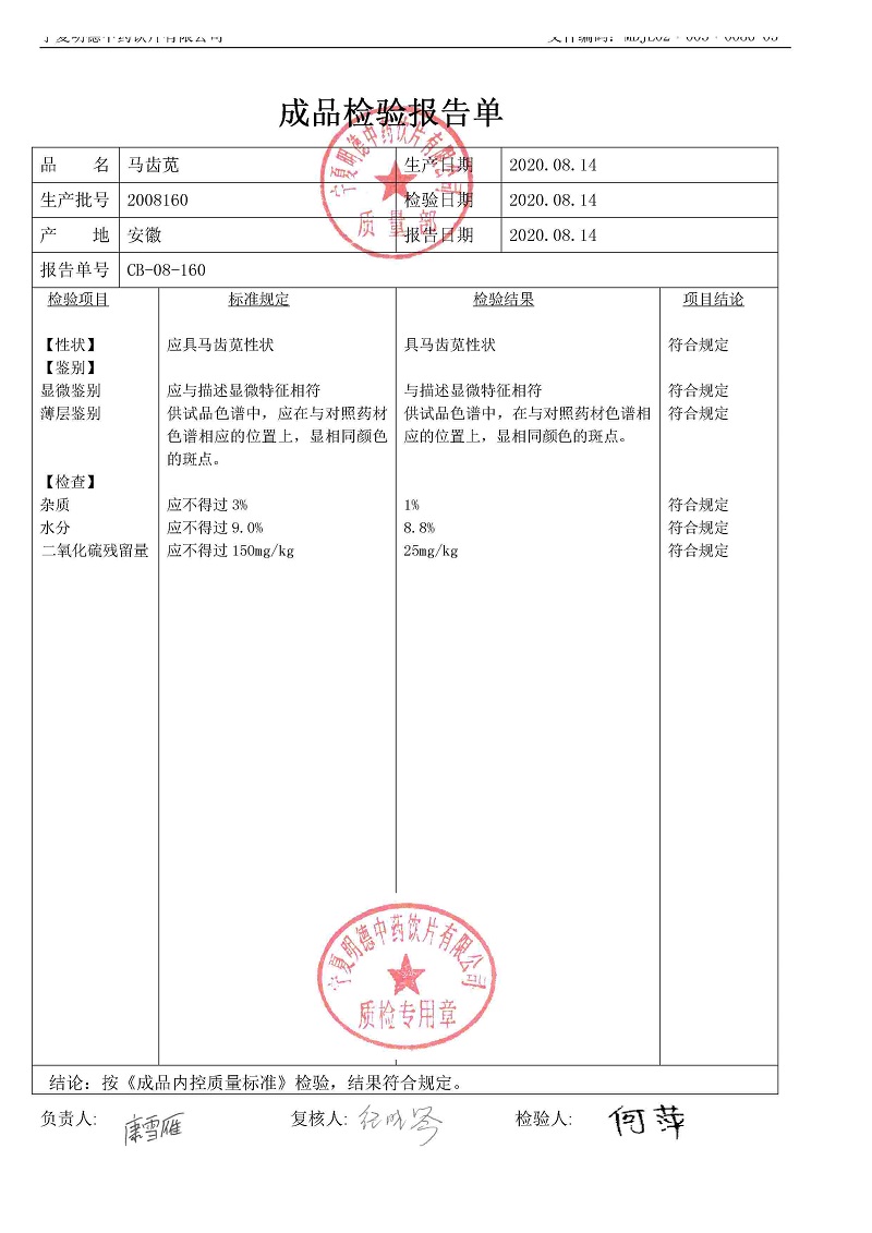 2008160马齿苋.jpg