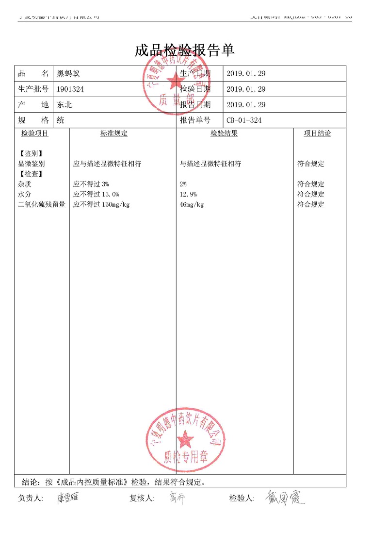 1901324黑蚂蚁.jpg