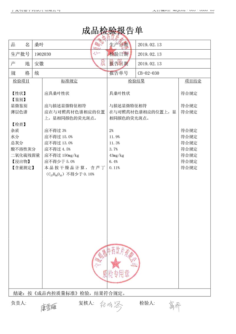 1902030桑叶.jpg