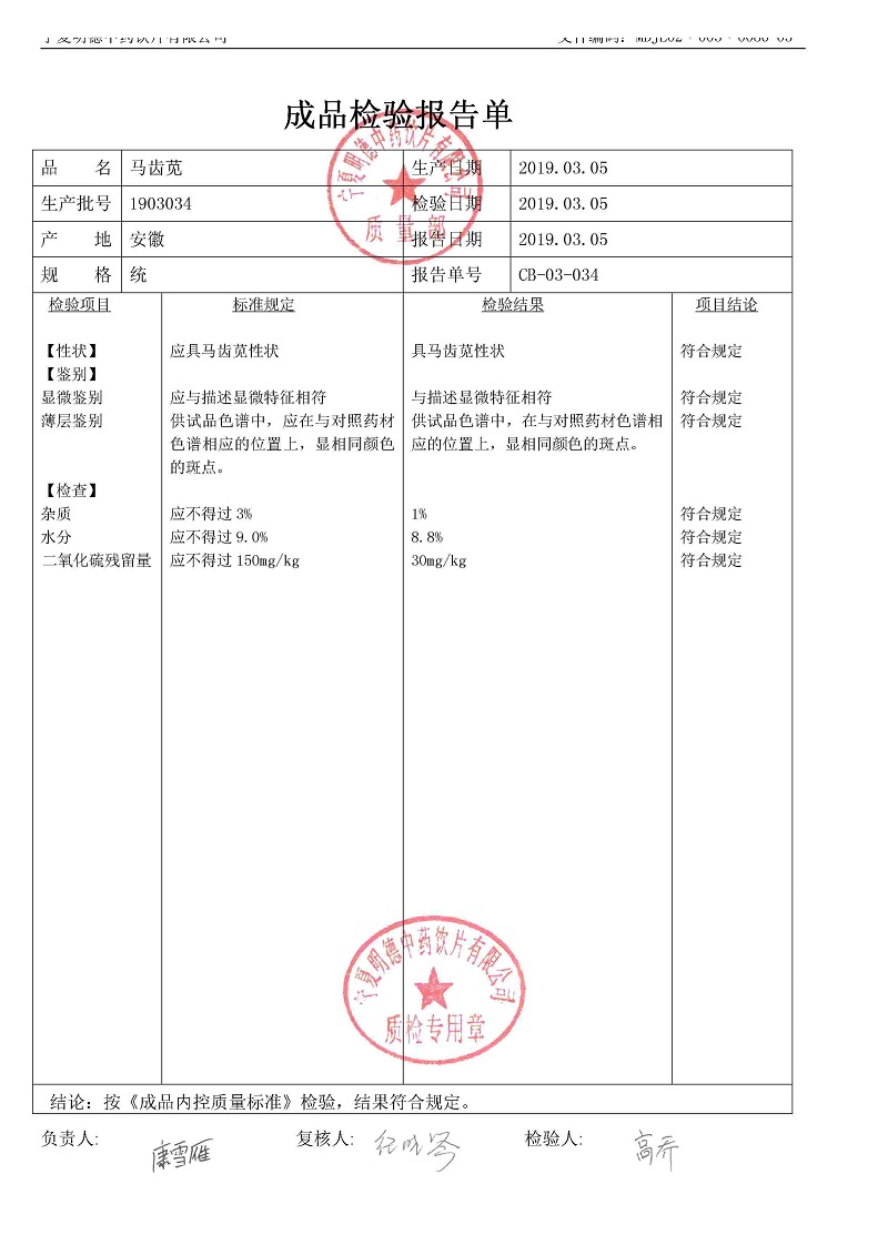 1903034马齿苋.jpg