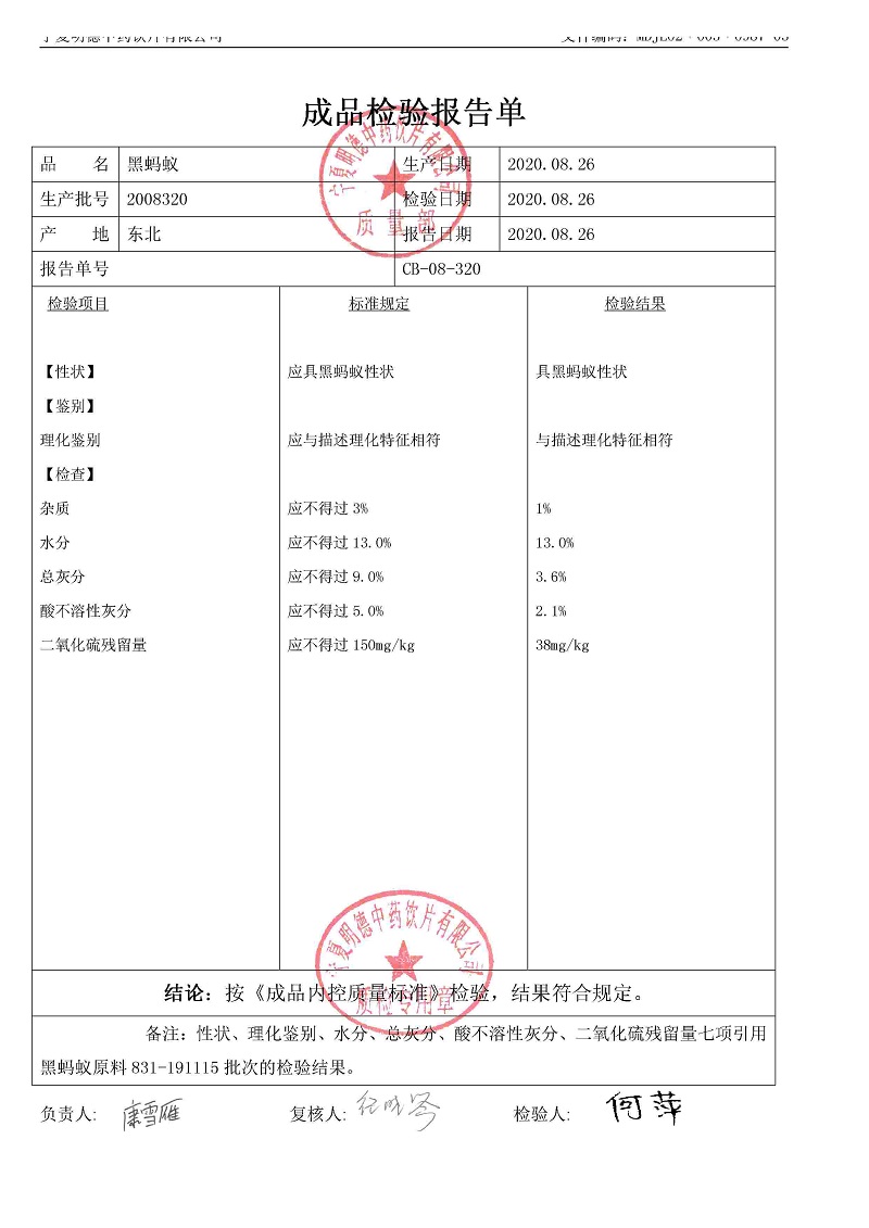 2008320黑蚂蚁.jpg