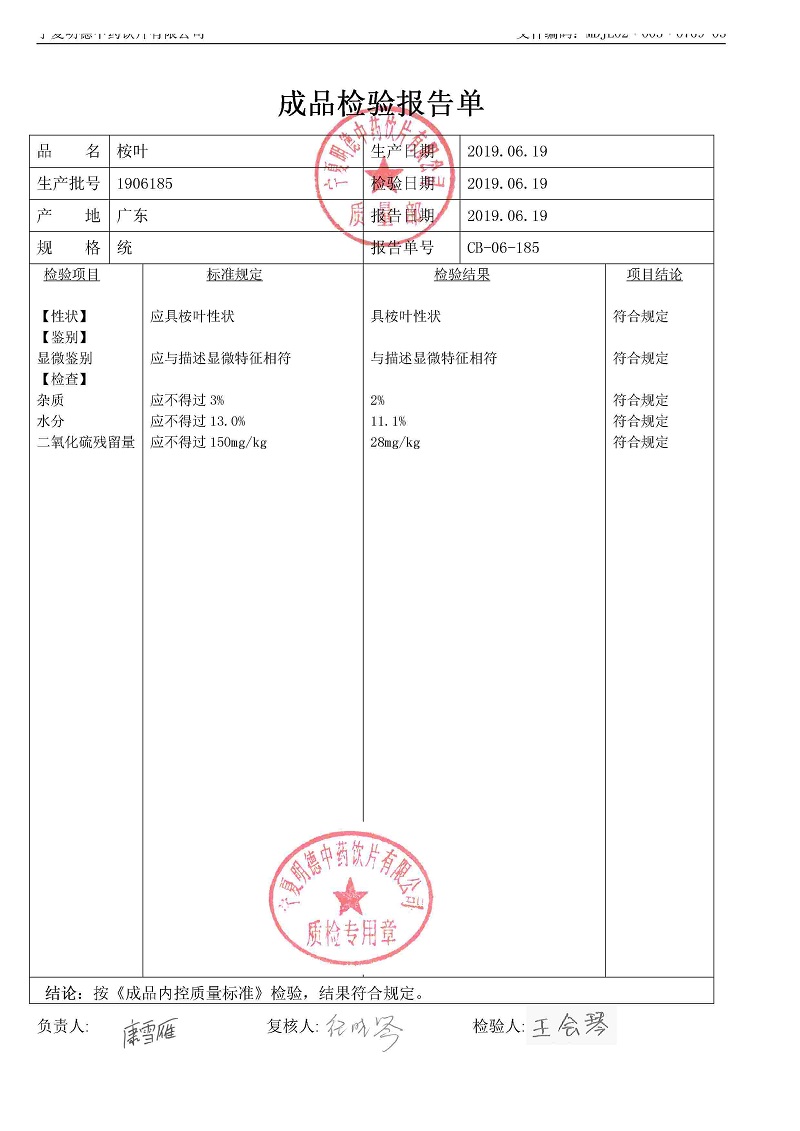 1906185桉叶.jpg