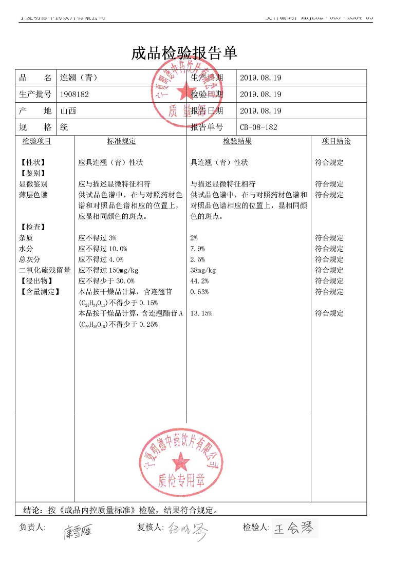 1908182连翘（青）.jpg