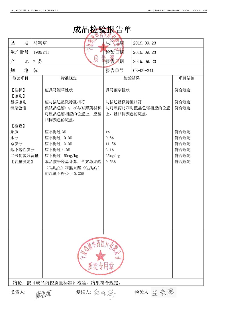 1909241马鞭草.jpg