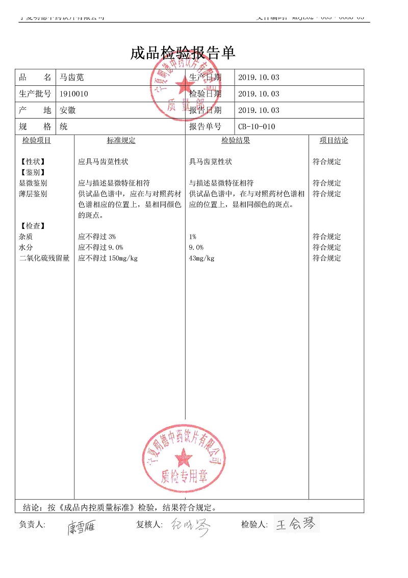 1910010马齿苋.jpg