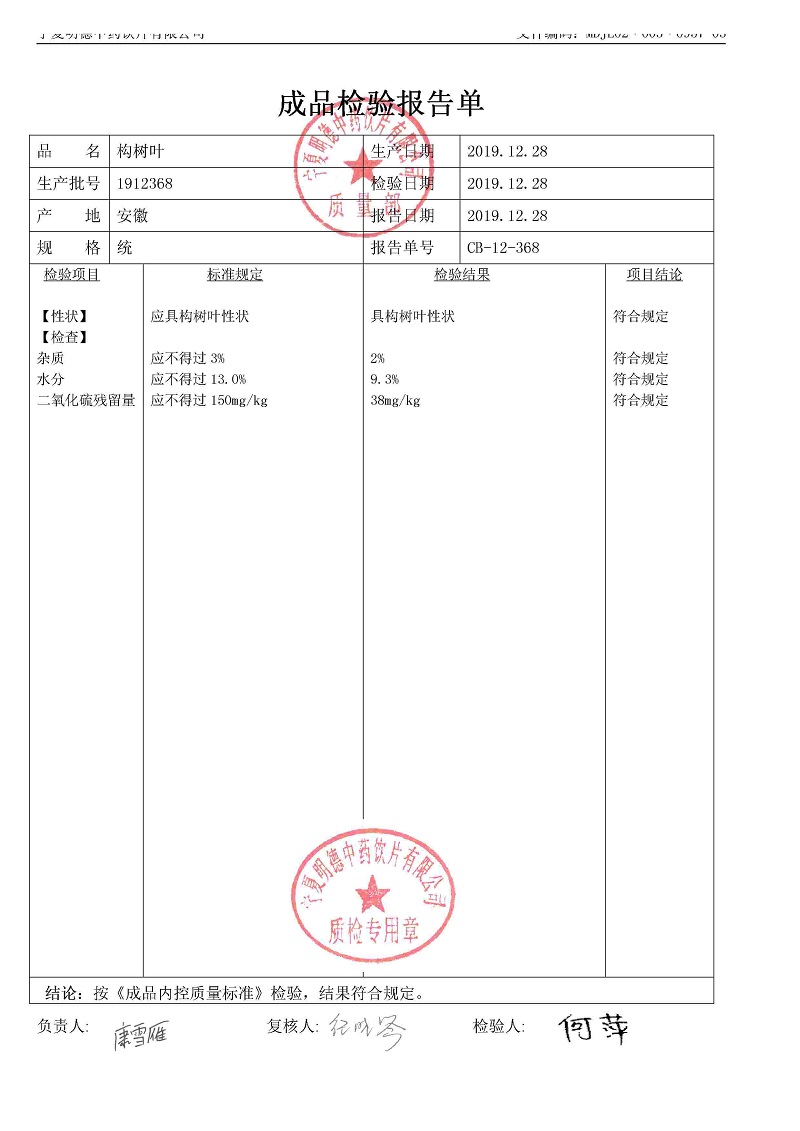1912368构树叶.jpg