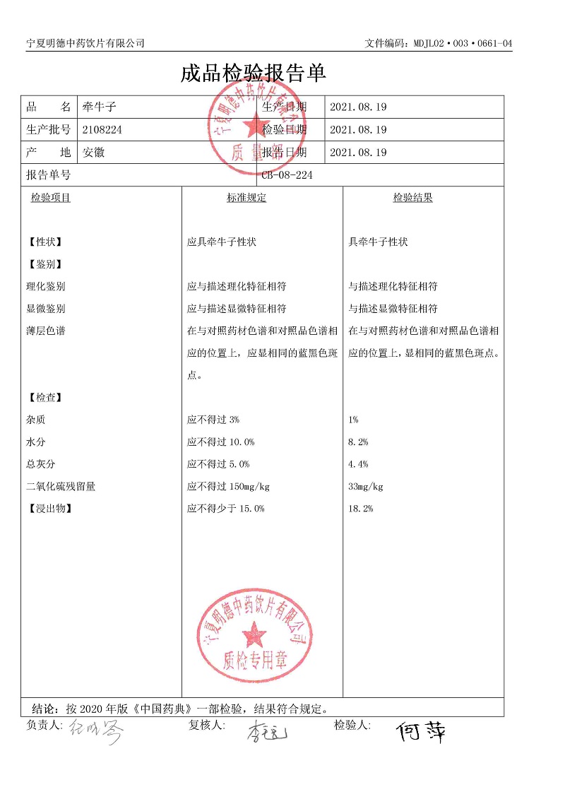 2108224牵牛子.jpg