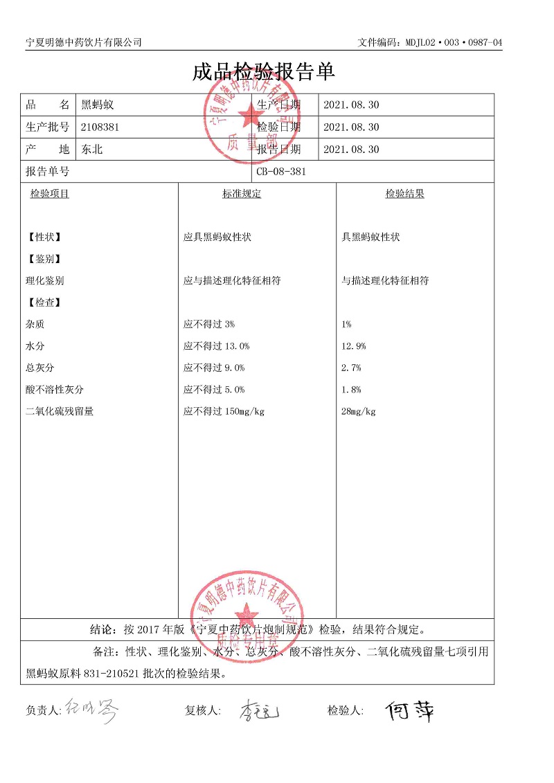 2108381黑蚂蚁.jpg
