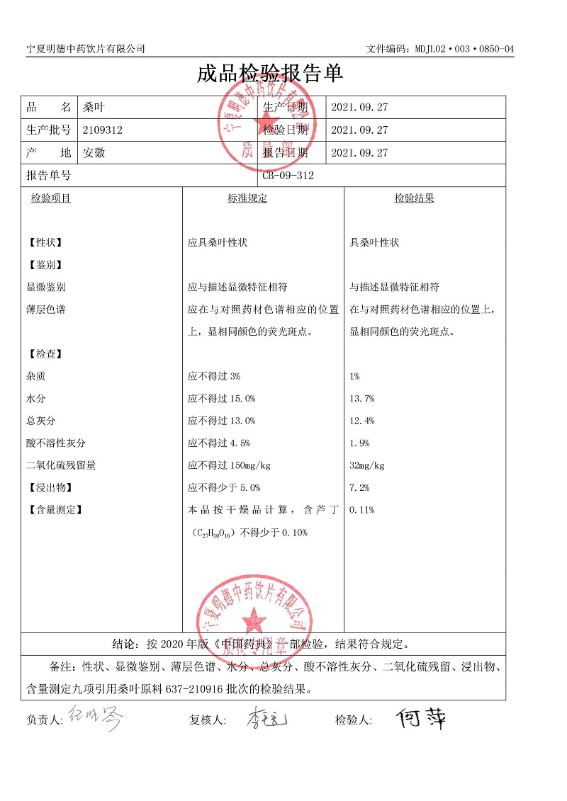 2109312桑叶.jpg